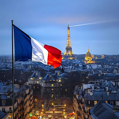 french translation services in india